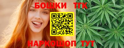 гашик Гай