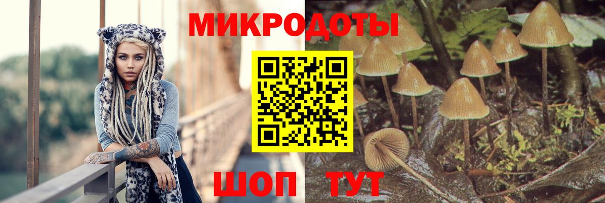 Псилоцибиновые грибы Psilocybine cubensis  Вход с VPN  Междуреченск 